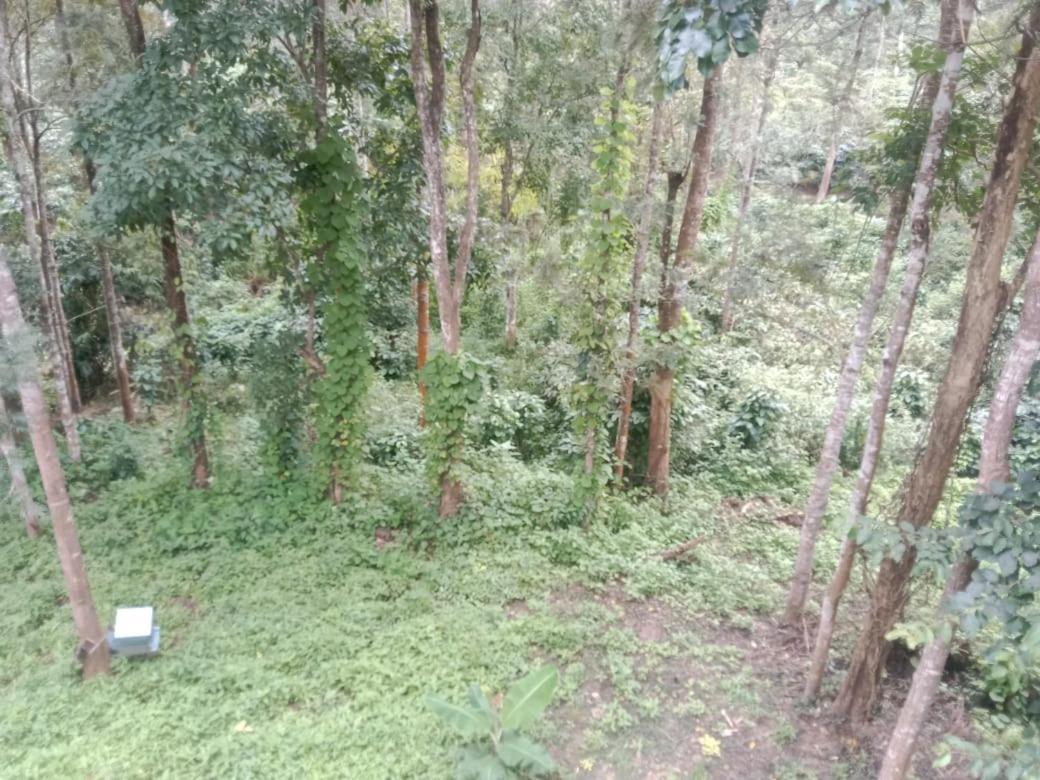 Suntikoppa Elephant Path Coorg 3Bhkヴィラ エクステリア 写真